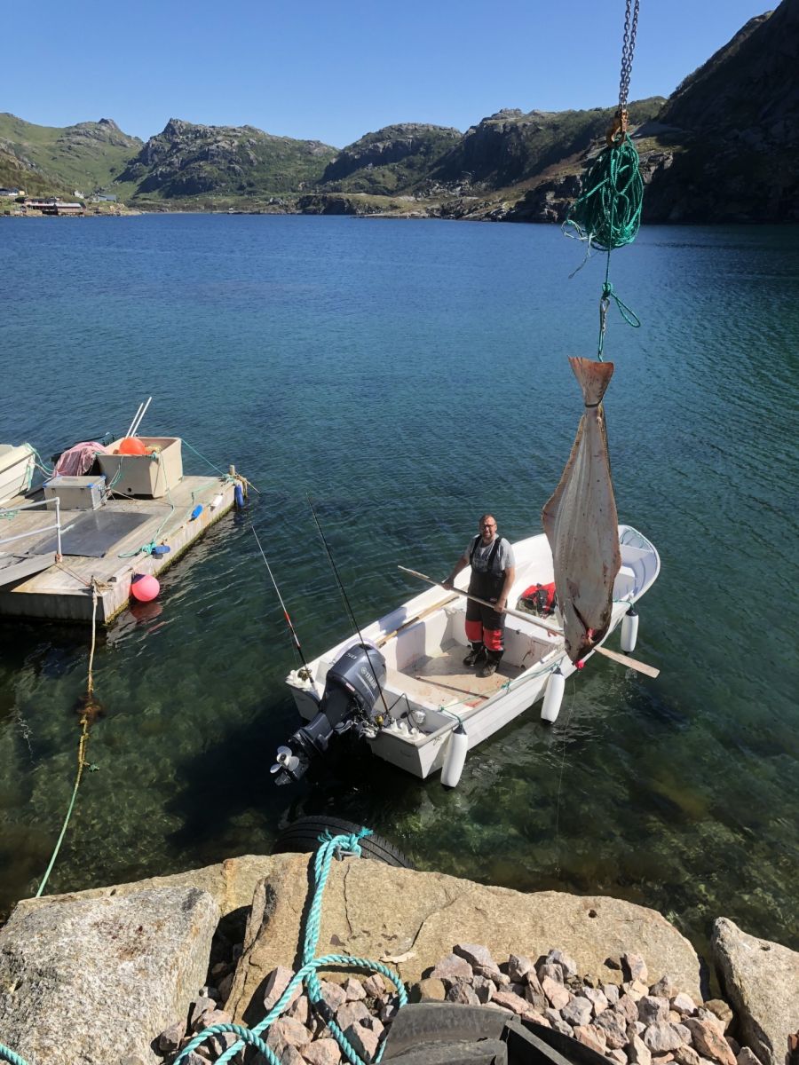 18 fot Hansvik med 50 hp Yamaha 4t